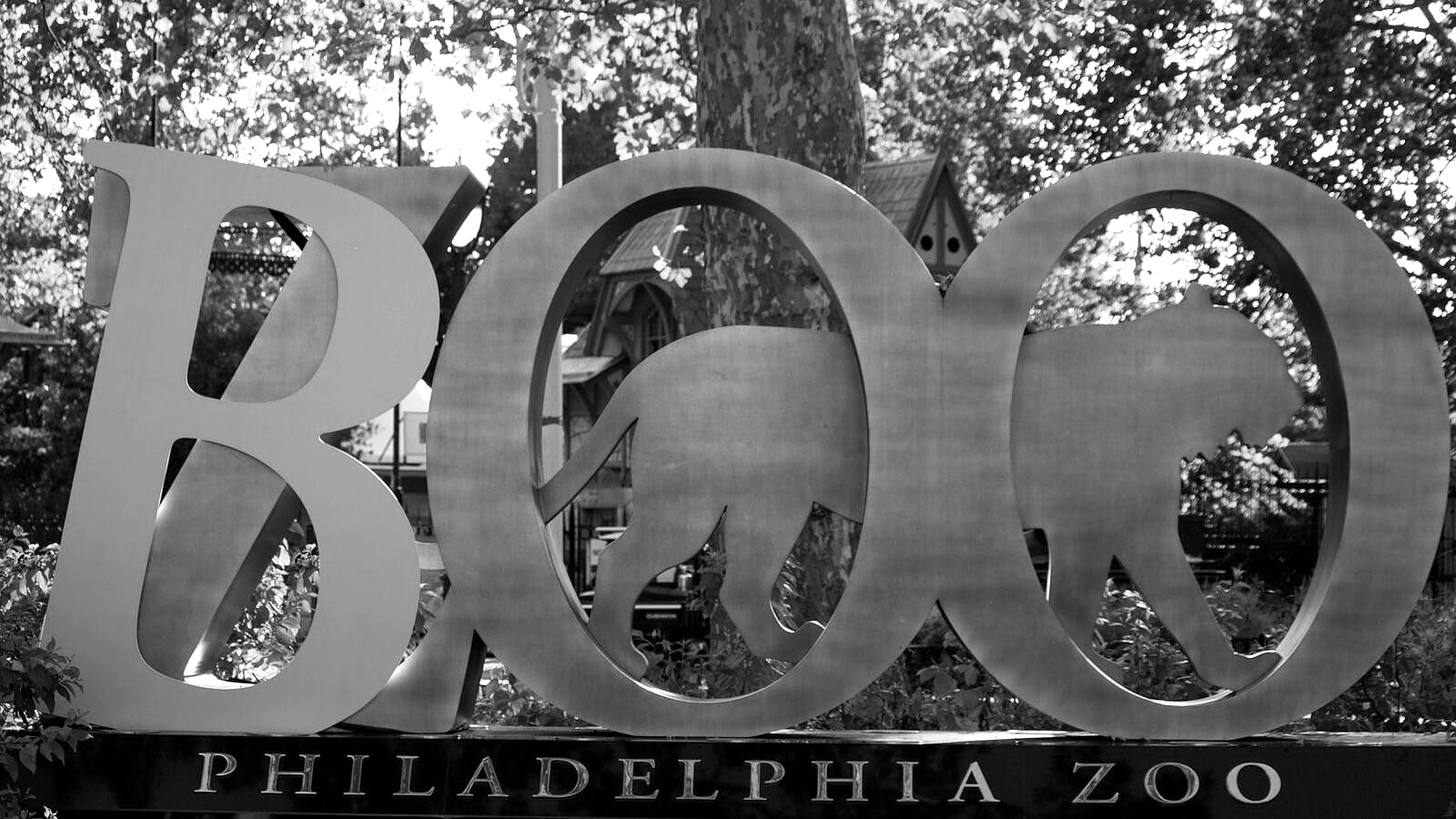 FanDuel Canceled Its Kids' Zoo Night. 'What, Sesame Place?'